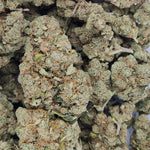 AMNESIA HAZE - 10% CBD - Indoor hydroponie - Vignette | CBD'UP