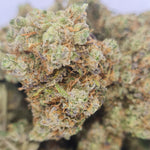 CRITICAL+2.0 - CBD 9% - Indoor Hydroponie - Vignette | CBD'UP