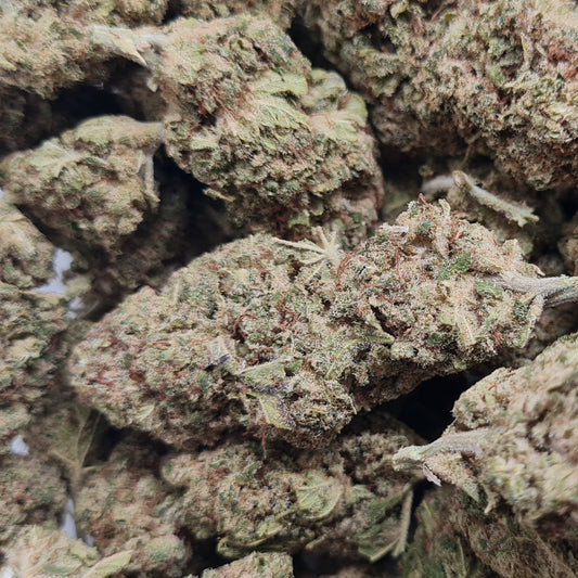 CANDY KUSH - 8% CBD - INDOOR