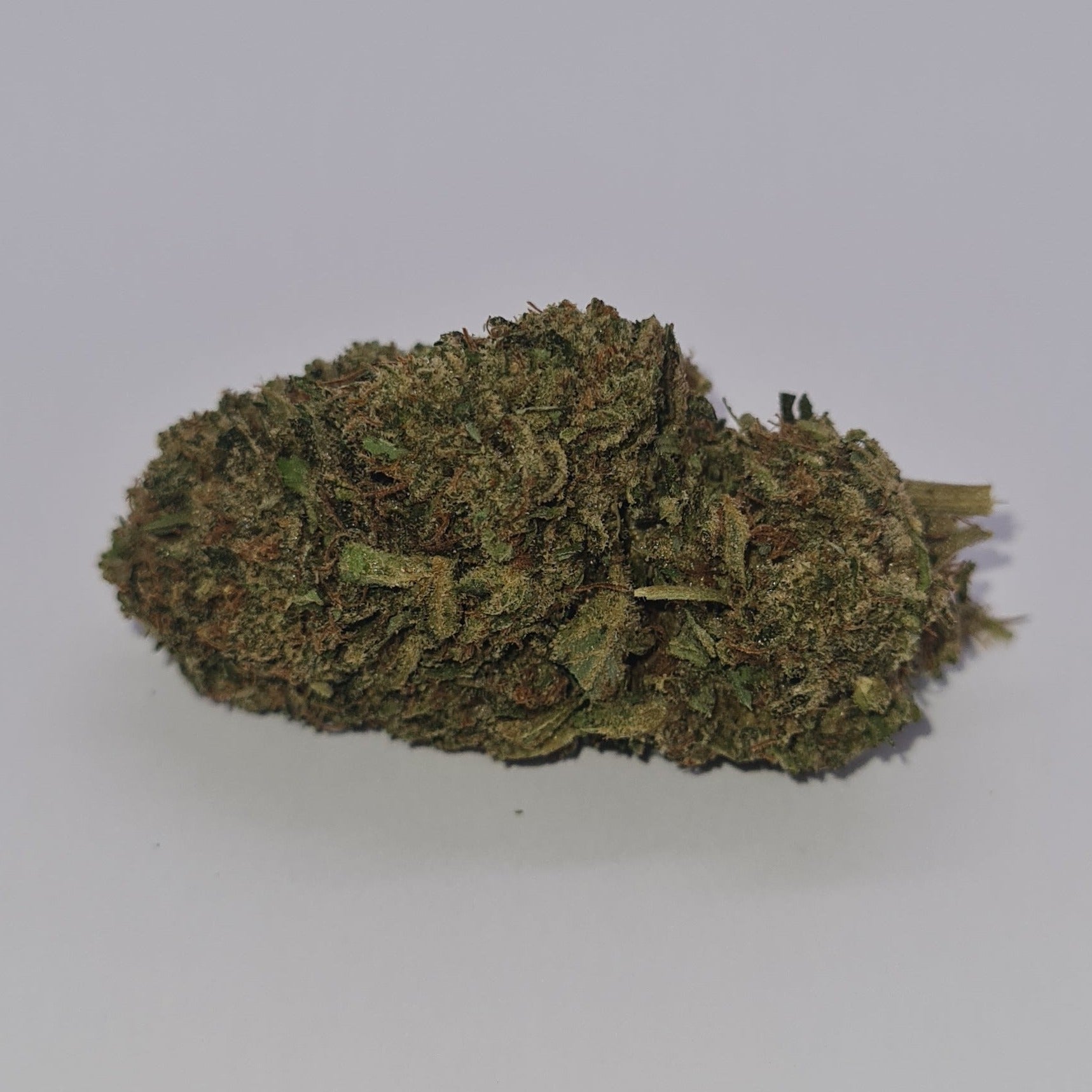 Tête très  purple de Bubba Kush 9 % CBD