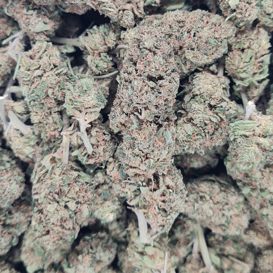 ORANGE BUD - 8% CBD - Greenhouse